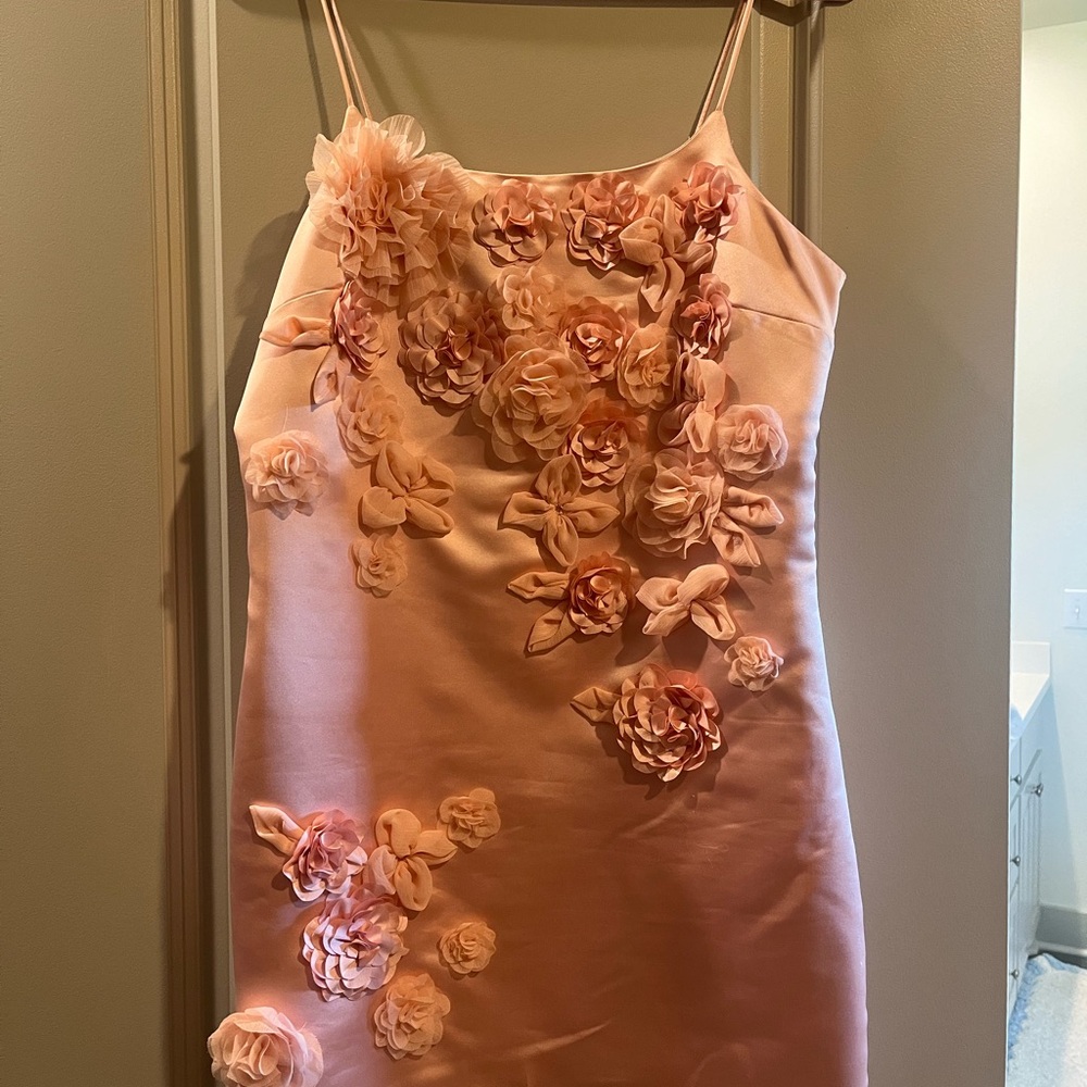 Love Shack Fancy Satin Mensa Mini Dress Size 6 Rose Appliqués - Picture 1 of 11